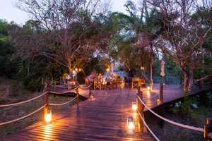 カイング・サファリ・ロッジの画像の画像4