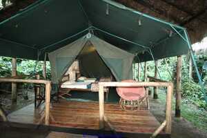 キバレ・フォレスト・キャンプの画像の画像2