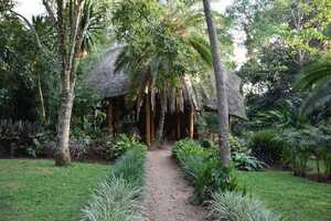 キバレ・フォレスト・キャンプの画像の画像3