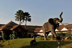 ムウェヤ・サファリ・ロッジの画像の画像6