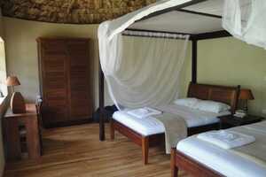 マホガニー・スプリングスの画像