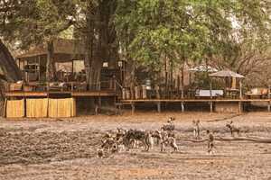 カンガ・キャンプの画像の画像6