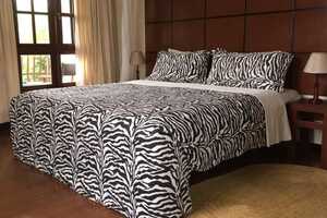 プラネット・ロッジの画像