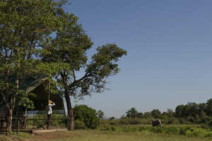 リトル・ガバナーズ・キャンプの画像の画像4