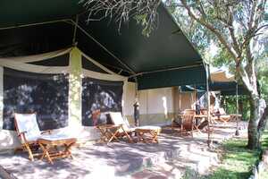 イントレピッズ・クラブの画像の画像3