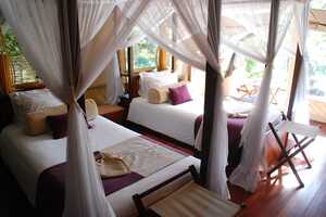 イントレピッズ・クラブの画像の画像2