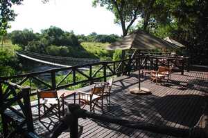 イントレピッズ・クラブの画像の画像4