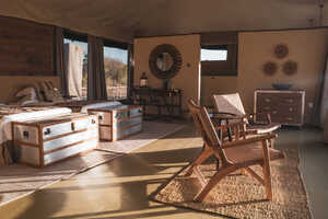 エンティムの画像の画像6