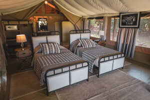 エンティムの画像の画像2