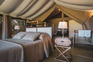 エンティムの画像の画像3