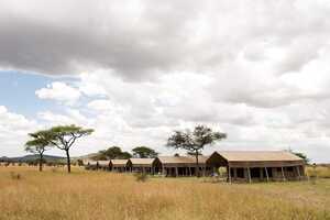 カティ・カティ・テンテッド・キャンプの画像の画像6