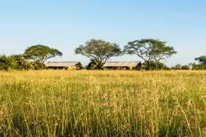 シンギタ・グルメティの画像の画像9