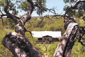 セレンゲティ・マイグレーション・キャンプの画像の画像2