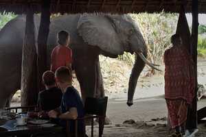 レイク・マンジの画像の画像4