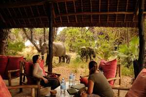 レイク・マンジの画像の画像3