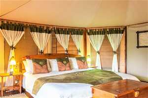 ティピリクワニ・マラ・キャンプの画像の画像2