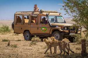 マラ・レジャー・キャンプの画像の画像13