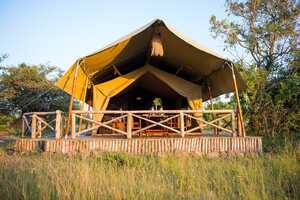 キリマ・キャンプの画像の画像4