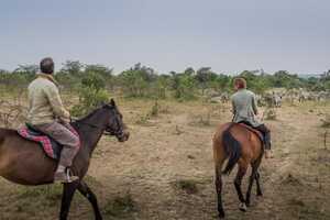 キリマ・キャンプの画像の画像13