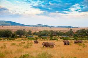 サンド・リバー・キャンプの画像の画像5