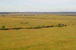 マサイ・マラ国立保護区の画像3