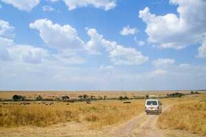 マサイ・マラ国立保護区の画像10