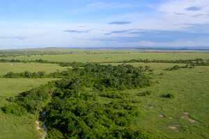 マサイ・マラ国立保護区の画像