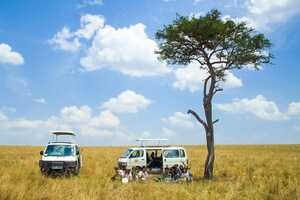 マサイ・マラ国立保護区の画像11