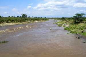 マサイ・マラ国立保護区の画像15