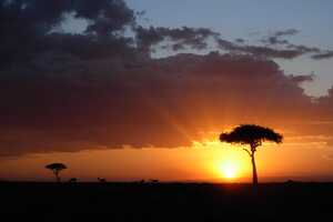 マサイ・マラ国立保護区の画像17