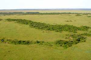 マサイ・マラ国立保護区の画像2