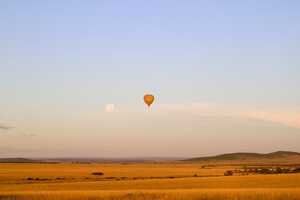 マサイ・マラ国立保護区の画像7