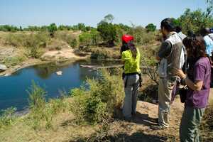 マサイ・マラ国立保護区の画像14