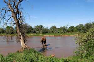 サンブル国立保護区の画像3