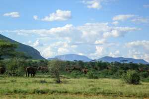 サンブル国立保護区の画像4