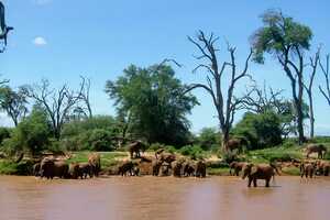 サンブル国立保護区の画像2