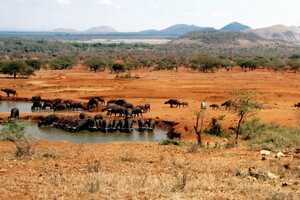 ツァボ・ウェスト国立公園の画像7