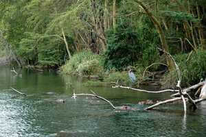 ツァボ・ウェスト国立公園の画像3