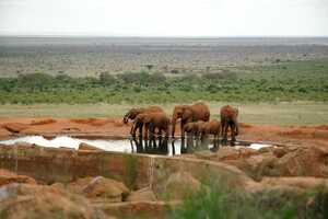 ツァボ・ウェスト国立公園の画像4
