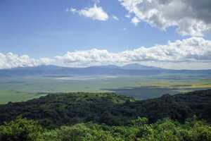 ンゴロンゴロ自然保護区の画像