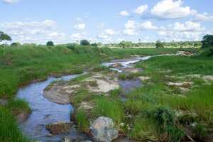 タランギレ国立公園の画像3