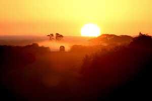 セレンゲティ国立公園の画像13