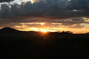 セレンゲティ国立公園の画像14