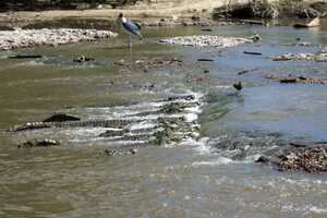 セレンゲティ国立公園の画像9