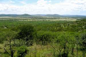 セレンゲティ国立公園の画像6