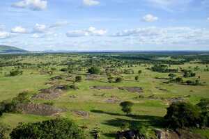 セレンゲティ国立公園の画像3