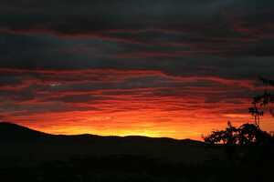 セレンゲティ国立公園の画像15