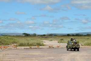 セレンゲティ国立公園の画像11