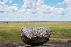 セレンゲティ国立公園の画像4