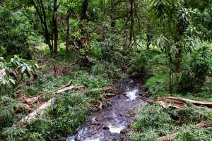 マニャラ湖国立公園の画像3